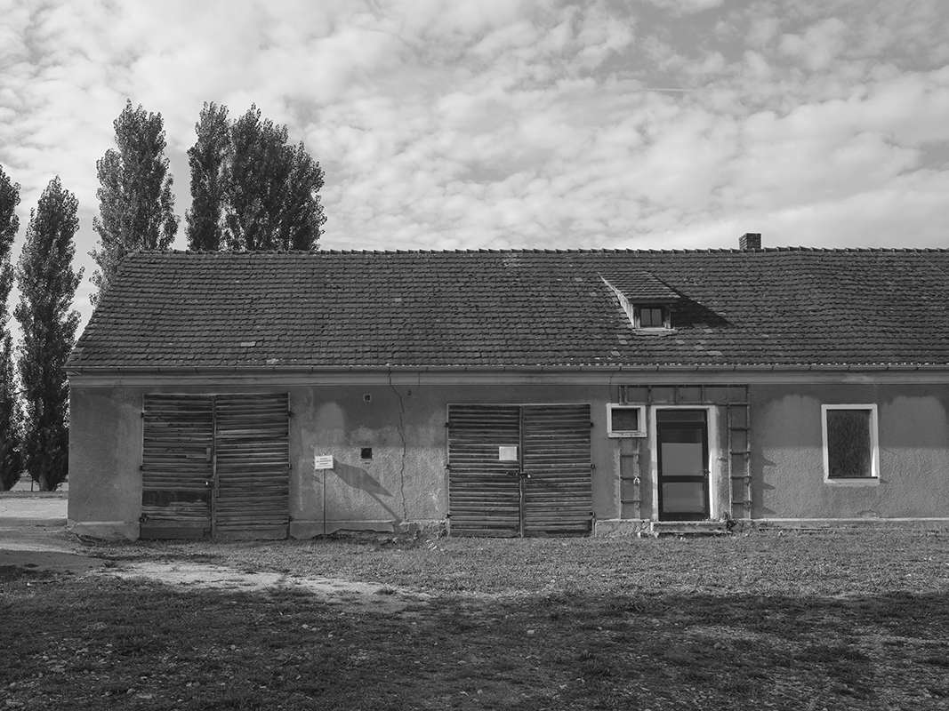 Bruno ( in Progress )                                                 Bruno