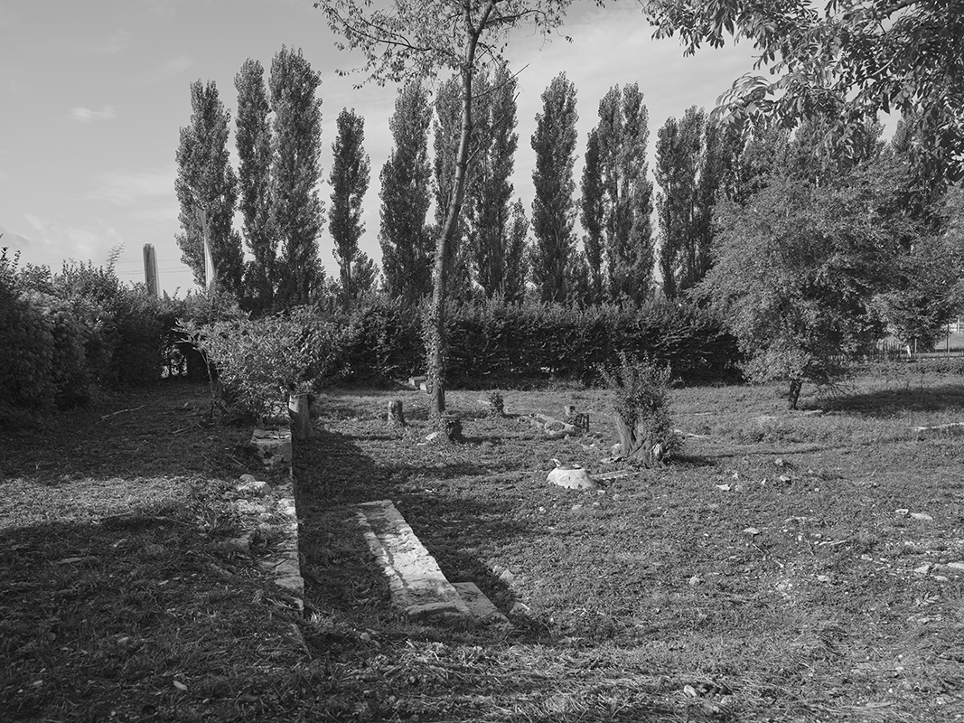 Bruno ( in Progress )                                                 Bruno