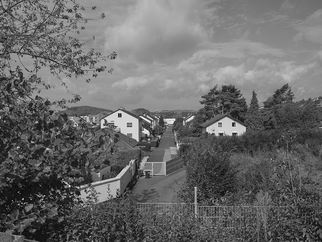 Bruno ( in Progress )                                                 Bruno