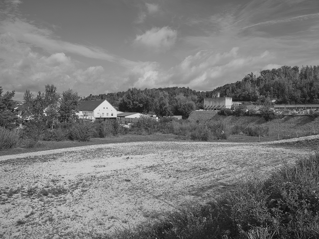 Bruno ( in Progress )                                                 Bruno