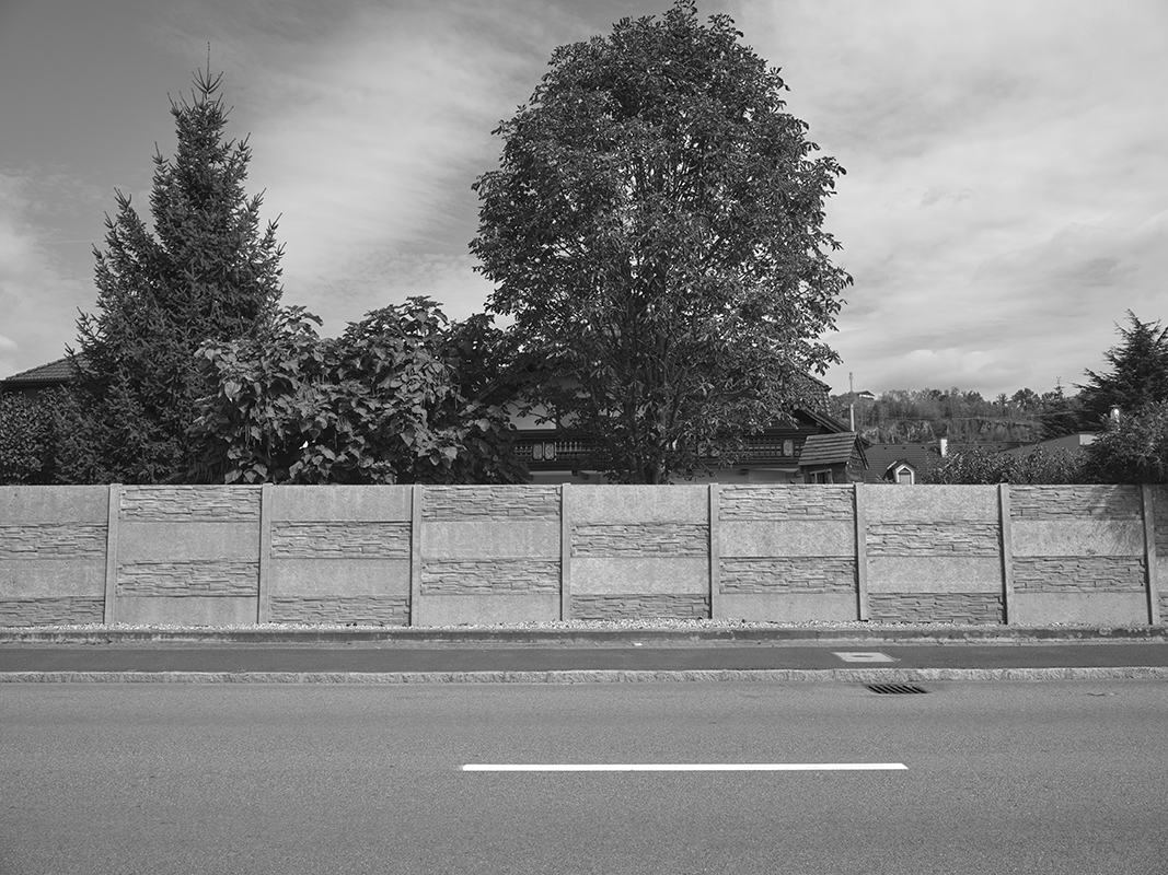 Bruno ( in Progress )                                                 Bruno