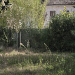 San Vito