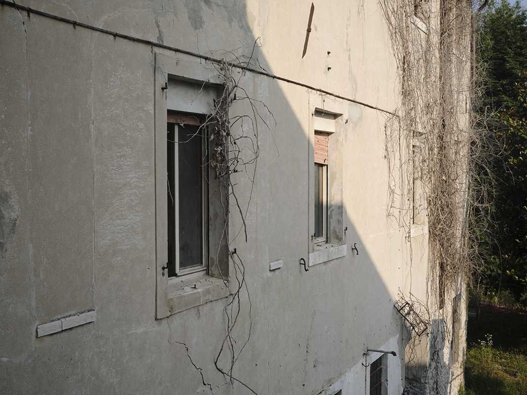 Traces                                                 
