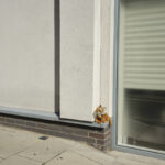 Traces