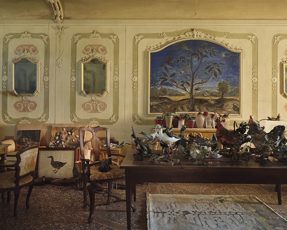 Zuccheri’s Art House                                                 