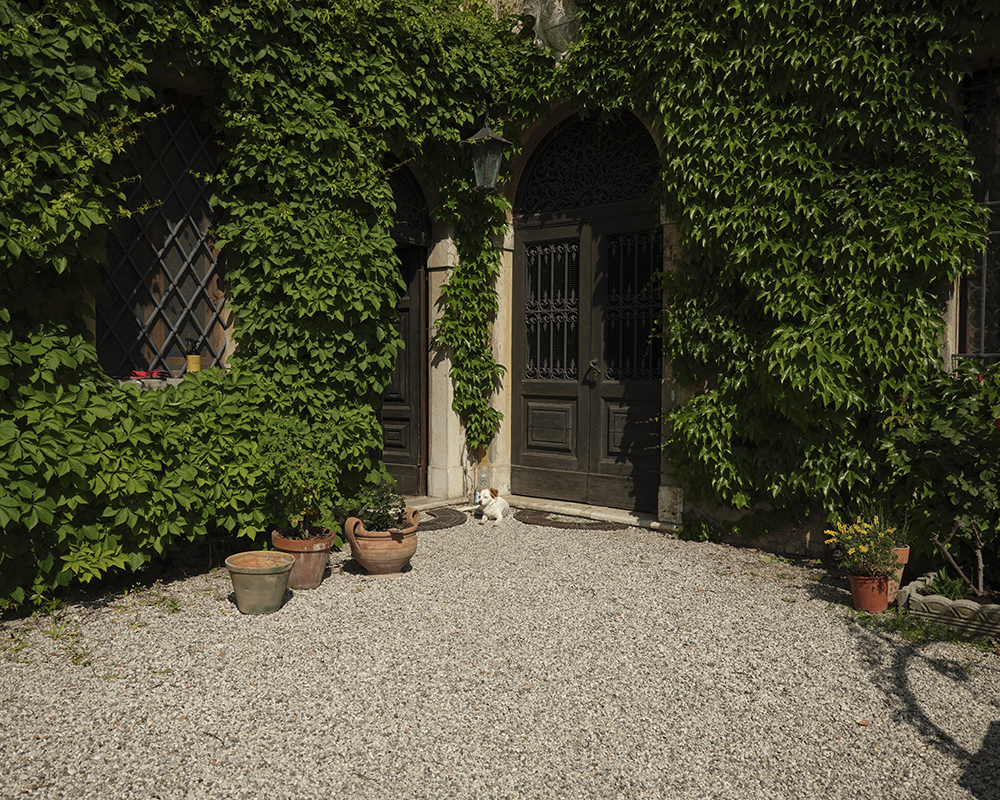 Zuccheri’s Art House                                                 