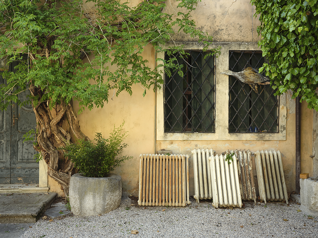 Zuccheri’s Art House                                                 