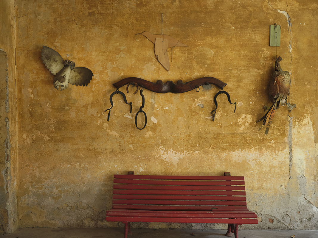 Zuccheri’s Art House                                                 