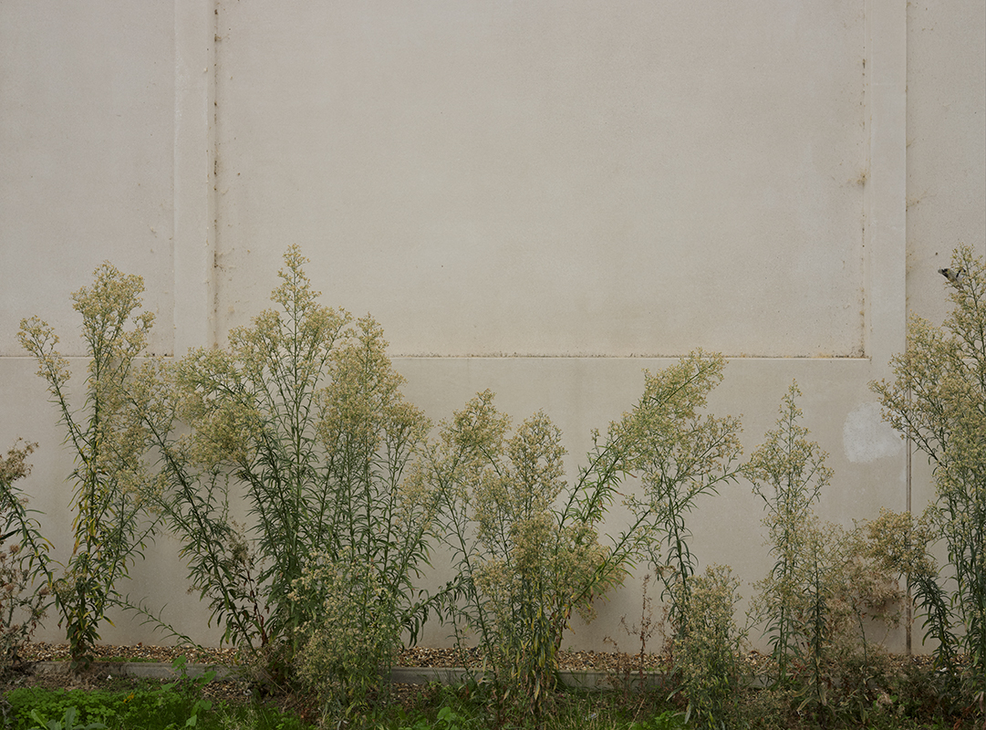Traces ( Period II )                                                 