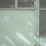 Traces ( Period II )