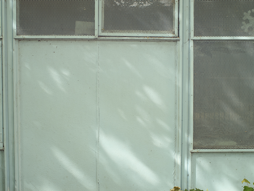 Traces ( Period II )                                                 